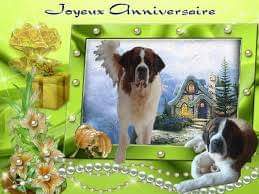 Joyeux 15 ans le forum ! Fb_img40