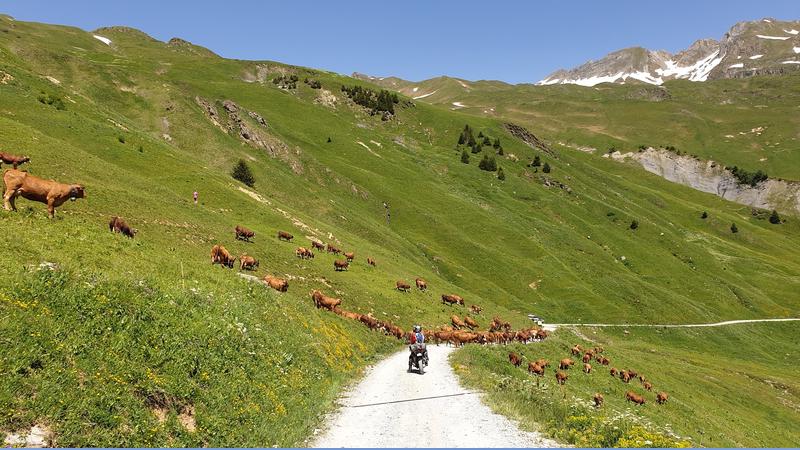 Vérification inscription TT et route dans les Alpes fin juin 2019 T-shirt - Page 15 20190622