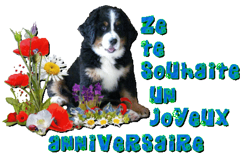 Joyeux Anniversaire Moustique
