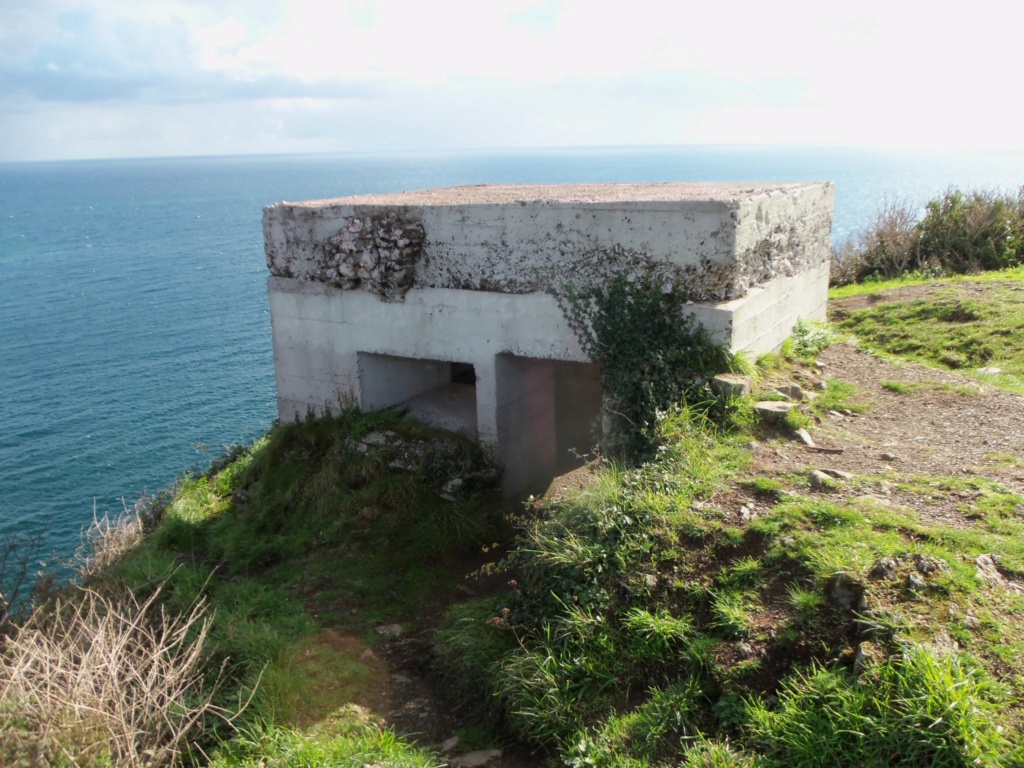 Sur la pointe de BILFOT 100_5916