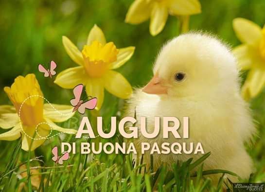 Buona Pasqua 2019 Img-2013