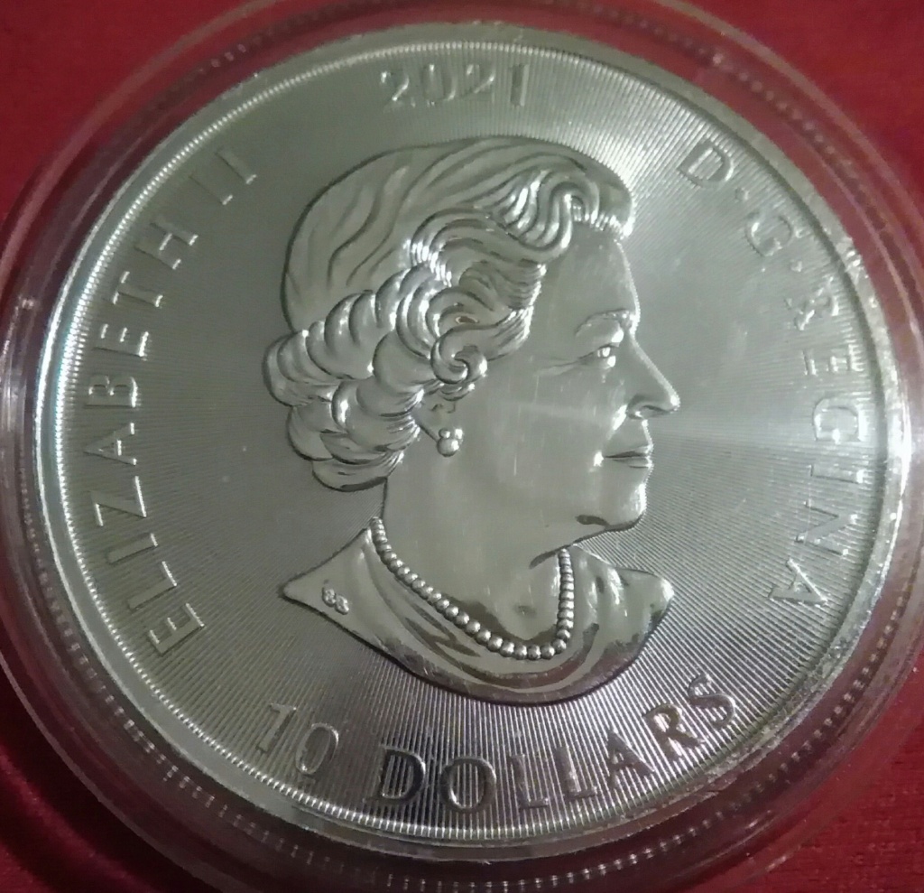 Moneda Canadá 2021 Img_2334