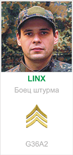 Структура команды СК "Стальные Крысы". Linx10