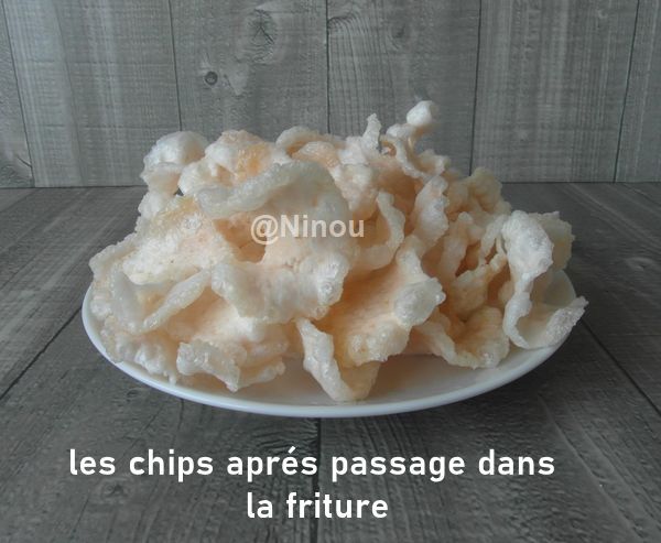 Chips chinoise de saumon Sam_8618