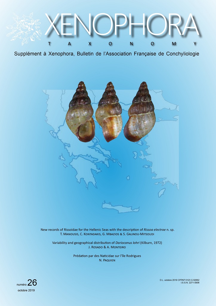 Xenophora N° 168 / Taxonomy N° 26 Xenota11