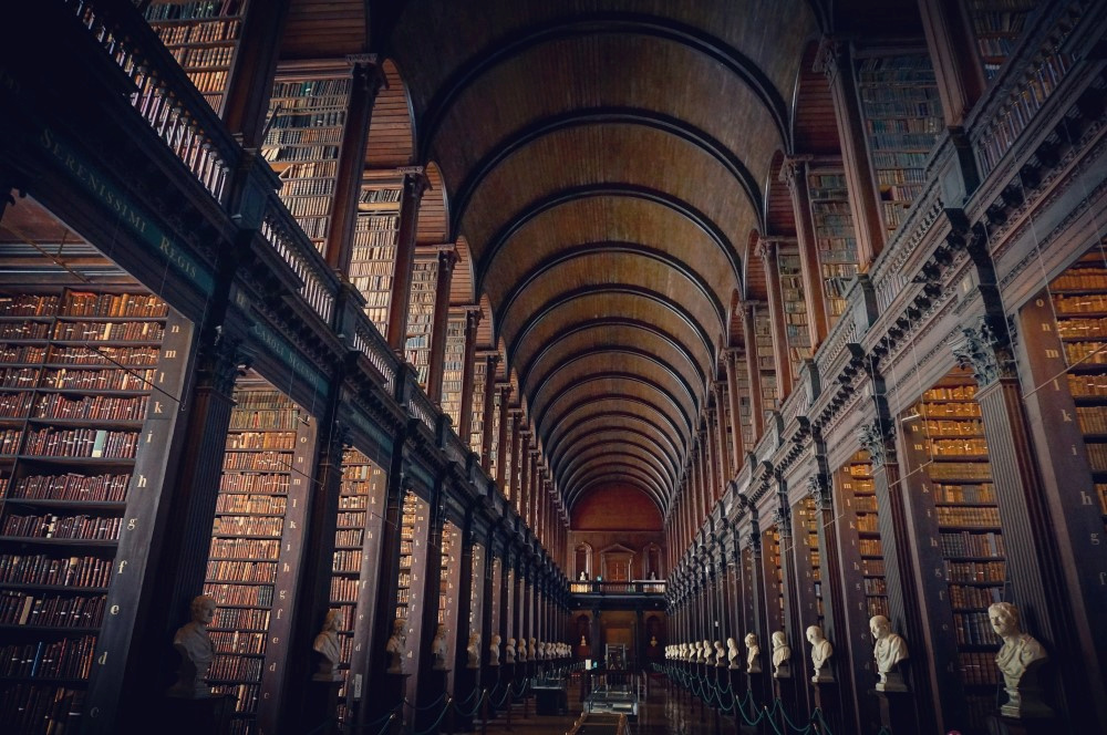 Les plus belles bibliothèques du monde Zzzetz26