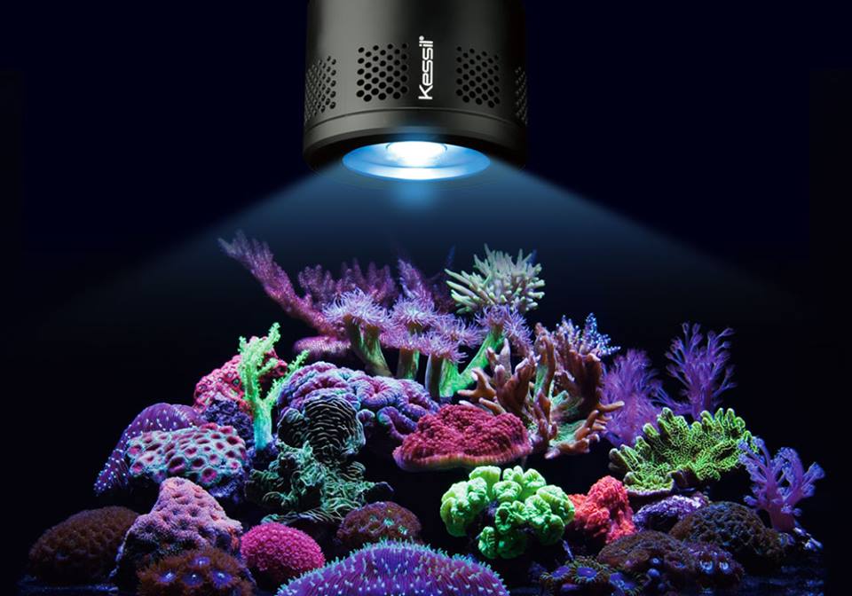 Kessil Lampu Aquarium 511