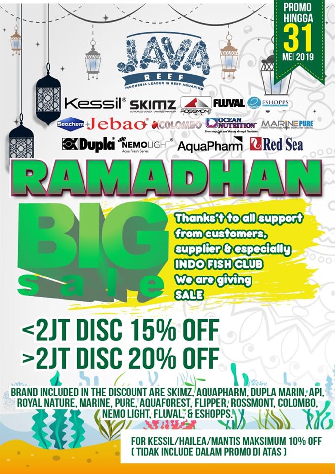 Java Reef Studio PROMO RAMADHAN  Ramadh13