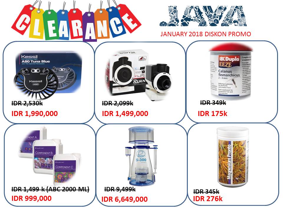 Java reef clearance Promo Januari 2019 Whatsa12