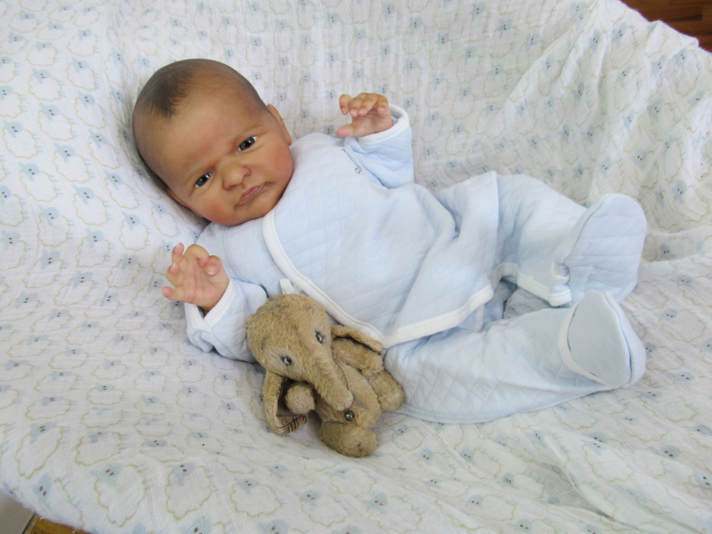 Newest Baby Alfie by Laura Lee Eagles 92fa6b10