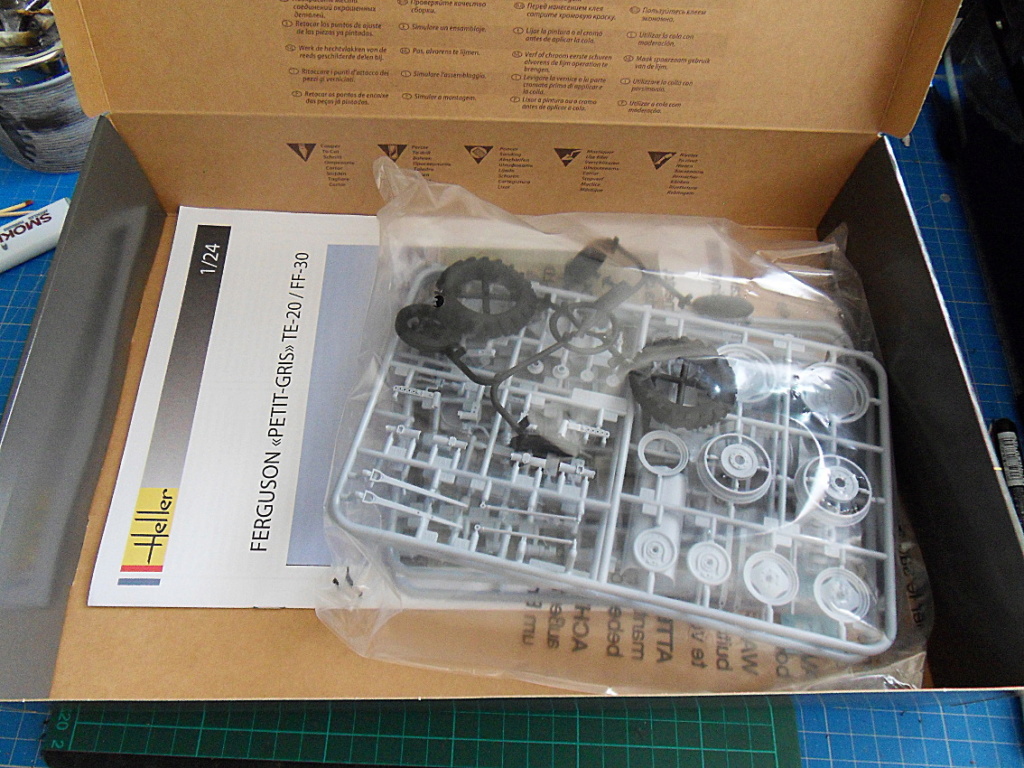 FERGUSON petit gris 1/24e + petit dio en cours Ouvert10