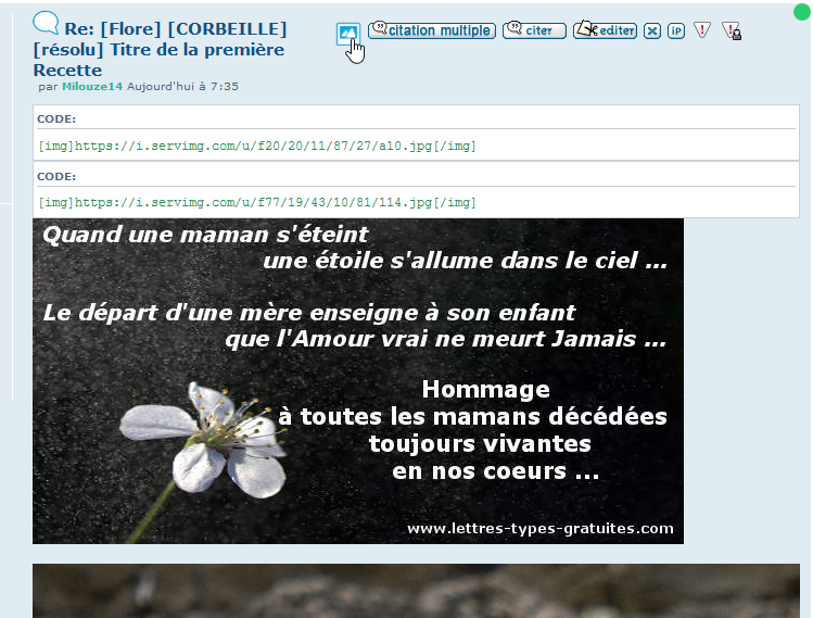 [BESTOF] [PHPBB3]Bouton pour copier les liens des messages 218