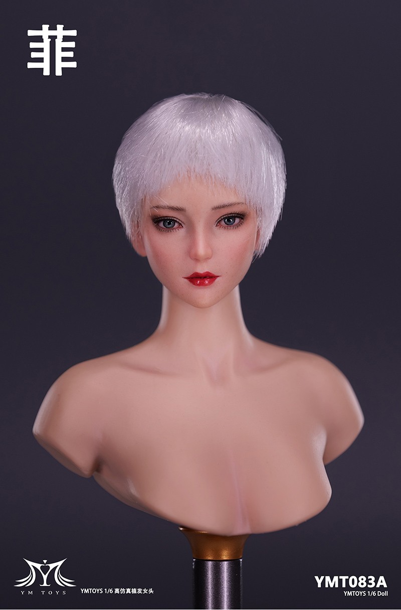 NEW PRODUCT: YMTOYS Asian female head Fei & Mei (Rose) YMT083/YMT084 00110