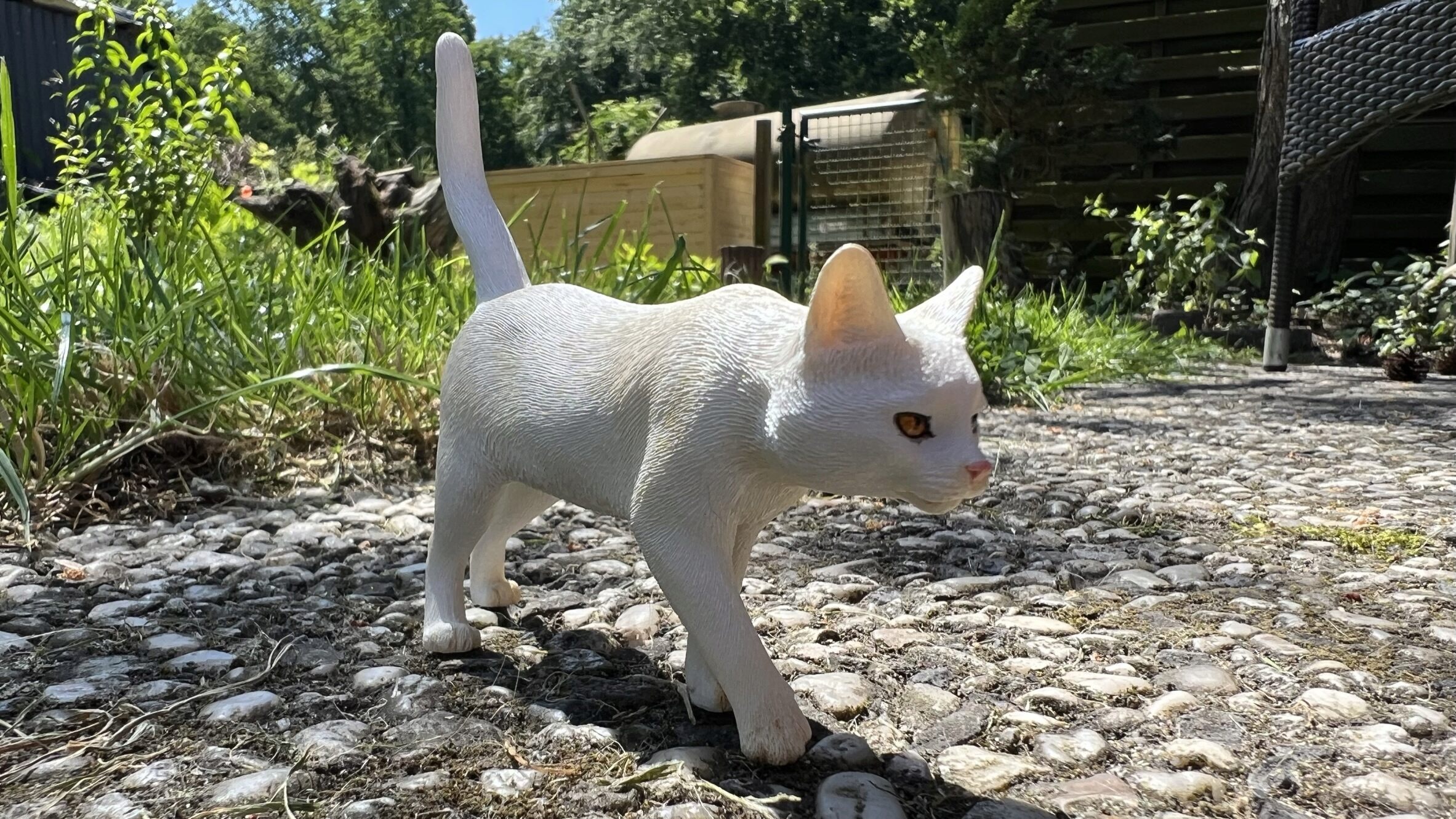 feline - NEW PRODUCT: JXKStudio: 1/6 scale Felis Catus (5 versions) Cat0210