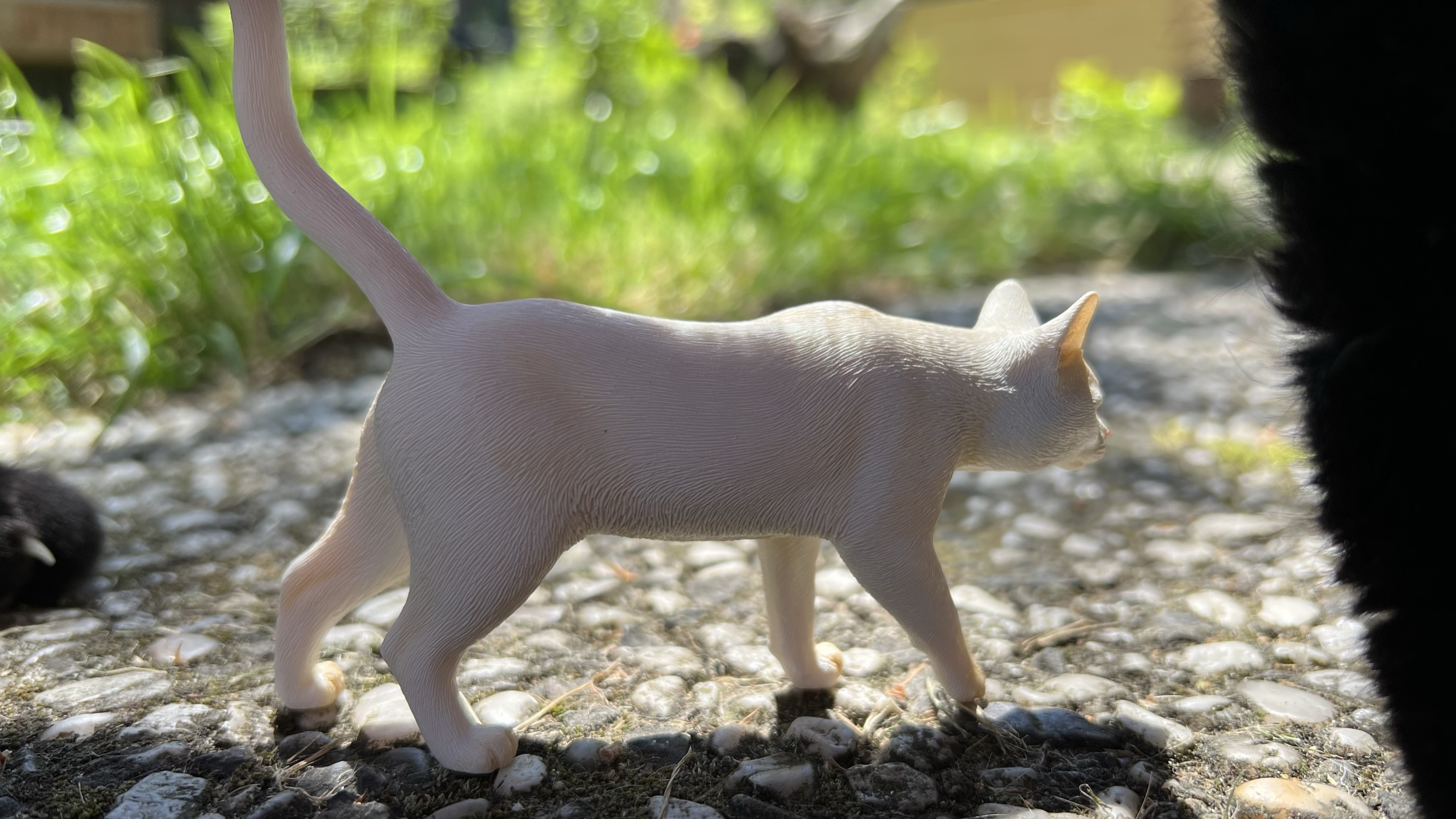 FelisCatus - NEW PRODUCT: JXKStudio: 1/6 scale Felis Catus (5 versions) Cat0310