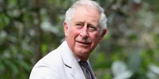 Prince Charles tests positive for COVID-19, Buckingham Palace says Downlo10