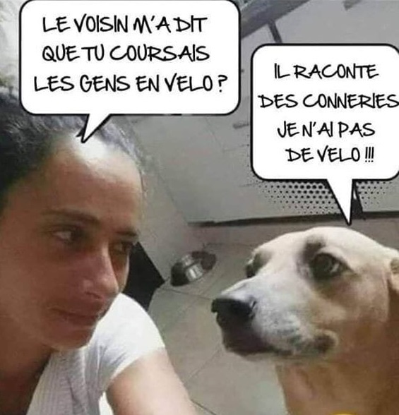 Images d'humour - Page 7 111