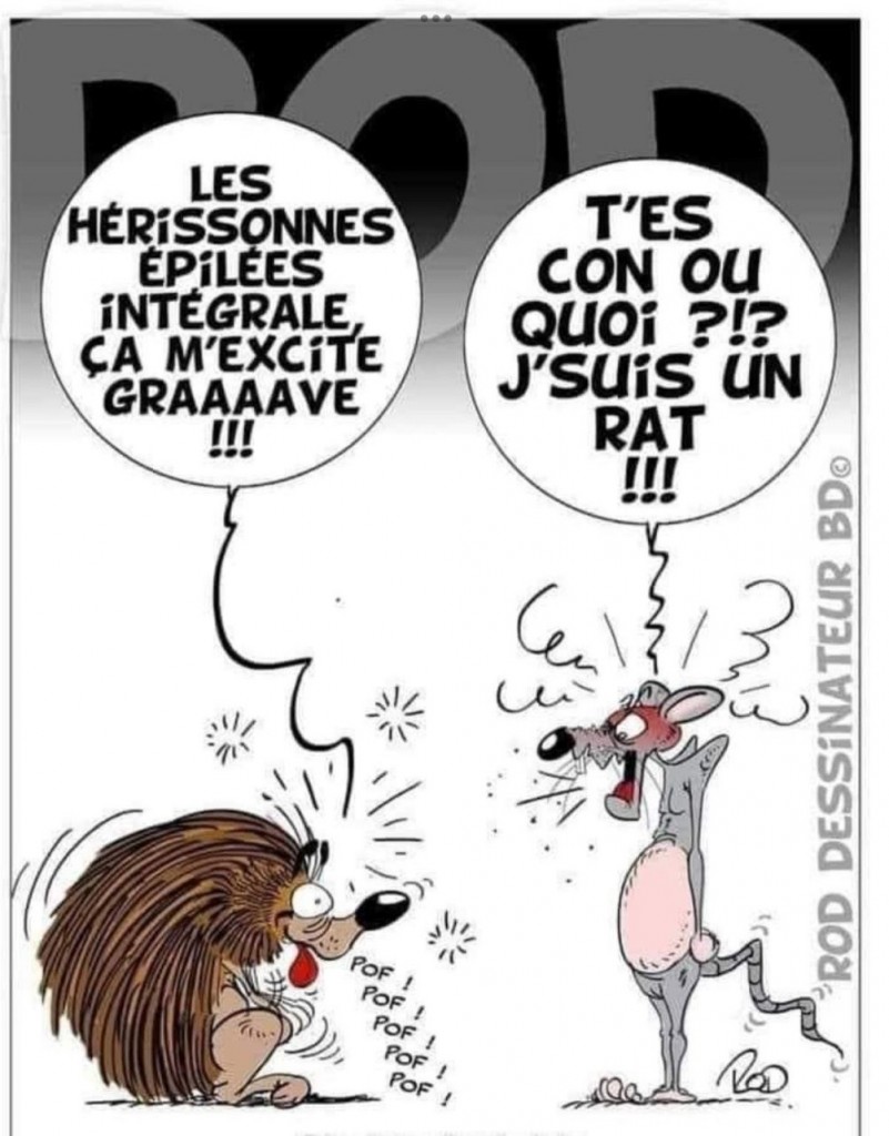 Images d'humour - Page 8 118