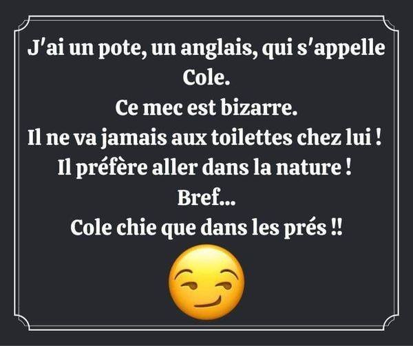 Images d'humour - Page 13 42024310