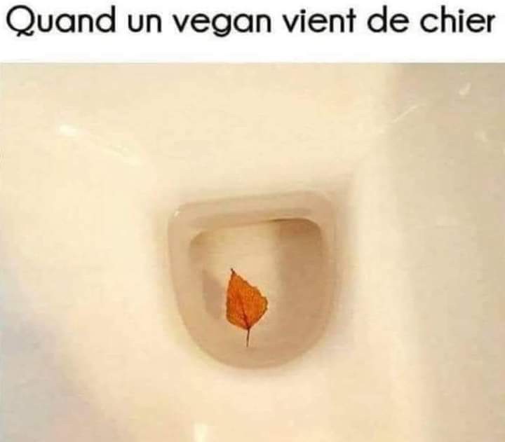 Images d'humour - Page 10 5110