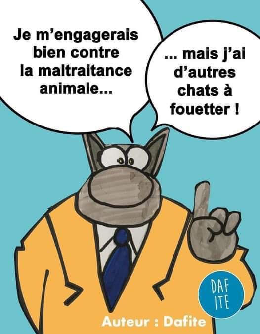 Images d'humour - Page 10 617