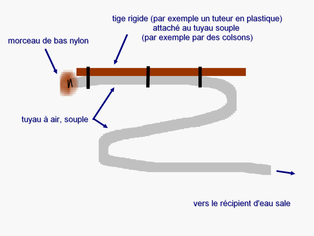 Débutante en tout point avec Mon Betta splendens - Page 2 Siphon11