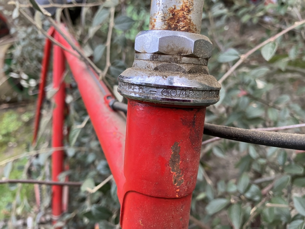 Grand vélo rouge Img_2019