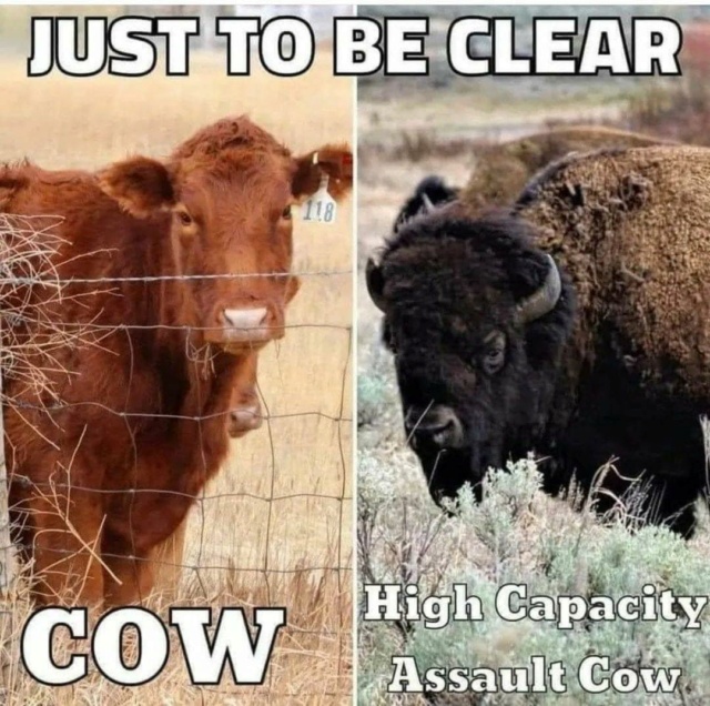 Just to be clear Cows10