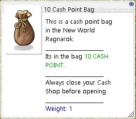 Cash Point Bag Cp1010