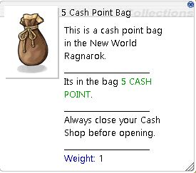 Cash Point Bag Cp510