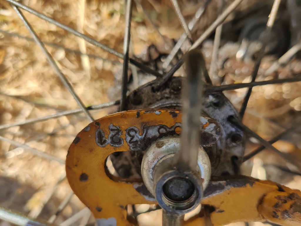 Identification vélo Motoconfort doré Img_2014