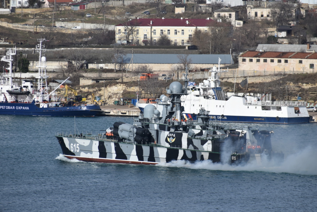 Russian Navy: Status and News #6 10-10410