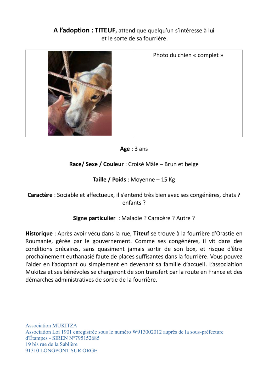 URGENCE EUTHANASIE A LA FOURRIERE DE PIATRA - Page 21 Titeuf10