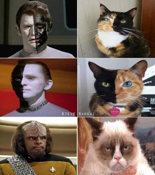 Humour Star Trek en images - Page 25 Z35310