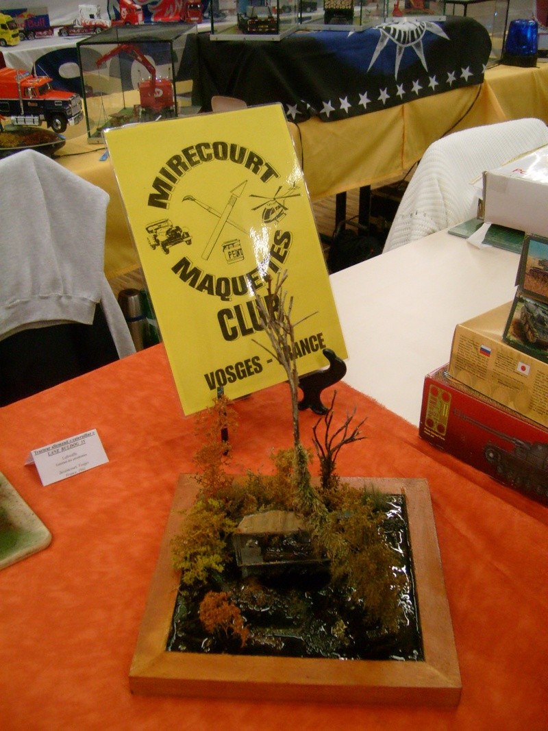 BELVAUX (LUXEMBOURG) Compte rendu de l exposition en 2015 ... S7304035