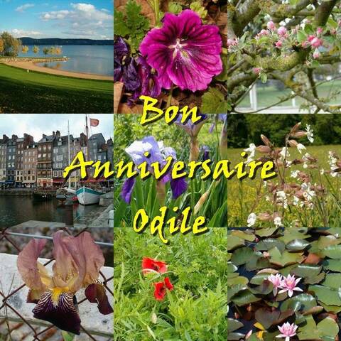 Bon Anniversaire Odile Bon Anniversaire Odile