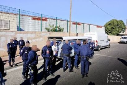 France: l'abattage clandestin. « Fondation Bardo » 11057611