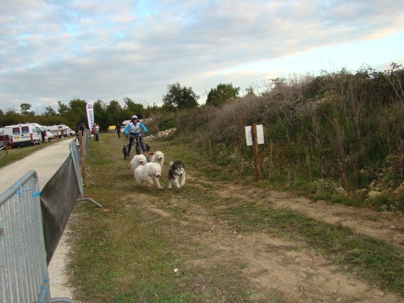 Course FENIOUX 2010 13_var10