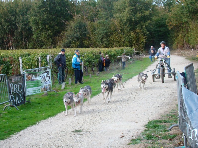 Course FENIOUX 2010 20_mic10