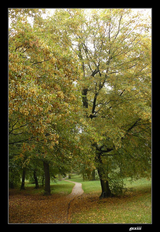 Le temps  Saint-Etienne au jour le jour (bis) - Page 2 10100722