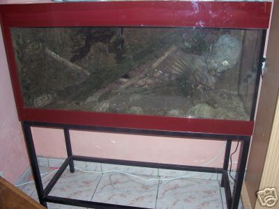 Mon nouvel aquarium 386c_110