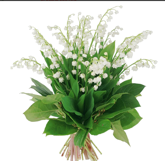 fractales de Mai Muguet10