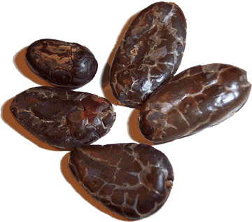 Le B-A--BA  du chocolat Cacao10