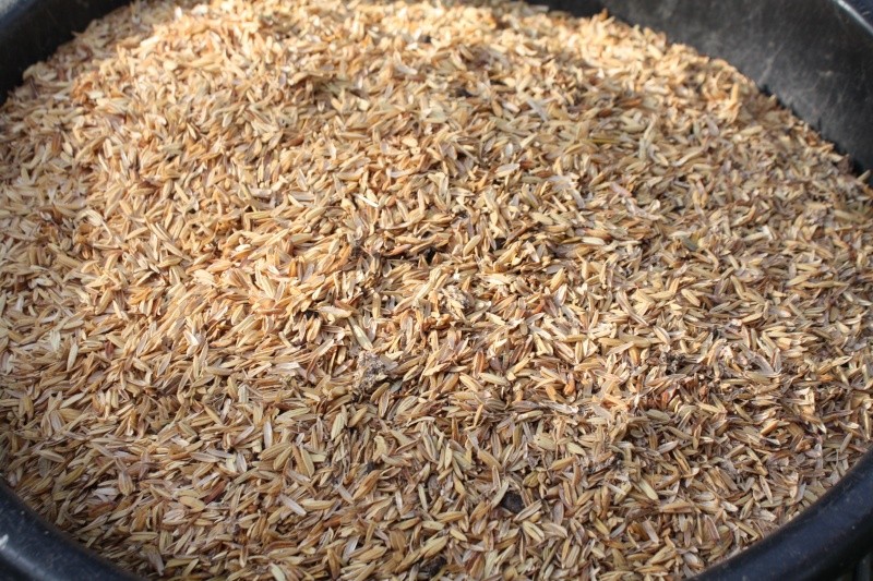 substrat à base de cosse de riz Cosses10