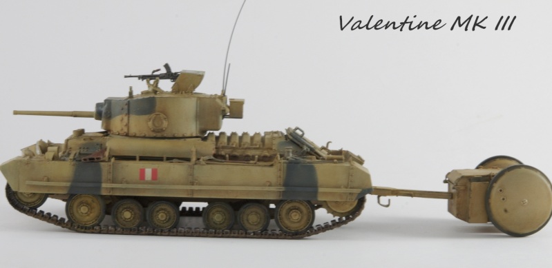 Valentine MK III AFV Club 1/35 - Page 4 Imgp6145