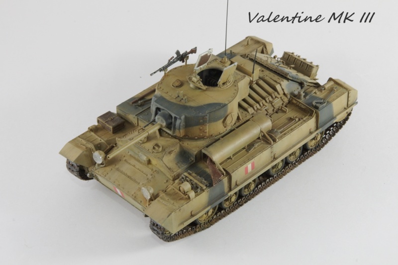 Valentine MK III AFV Club 1/35 - Page 4 Imgp6146