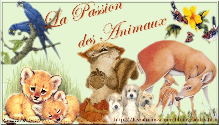 o.O La passion des animaux O.o (10 mars 08) Bannie10