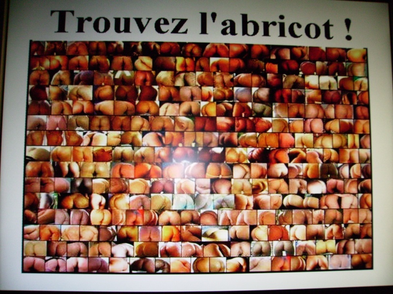 trouver  l abricot Photo_22