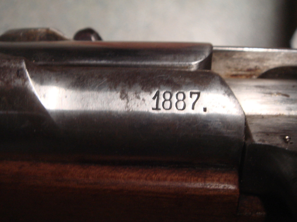 Mauser 1871 - Page 2 Dsc04916