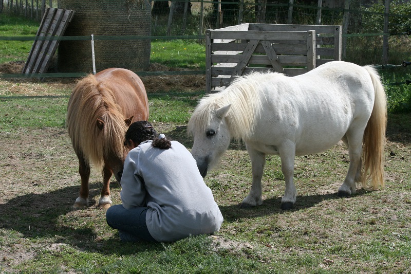 Poly, shet 11 ans (FA Lubberd) à adopter avec Neige !  - Page 5 Img_9310